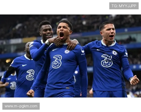 星空体育PG娱乐最新赛事资讯与直播安排全方位报道