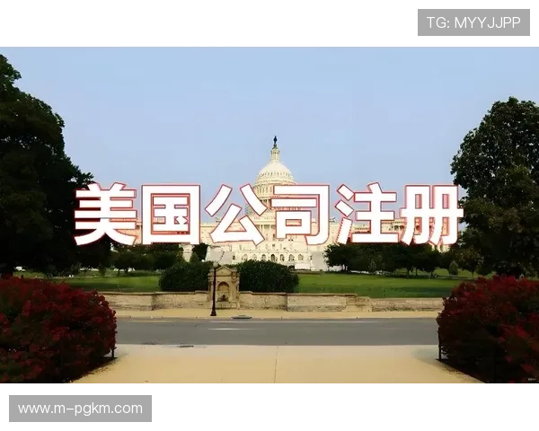 PG猿宇宙网页版开户指南全面解析新手注册步骤与常见问题解决方案